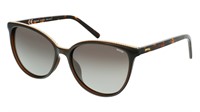 INVU Basic Acetate 2106 B